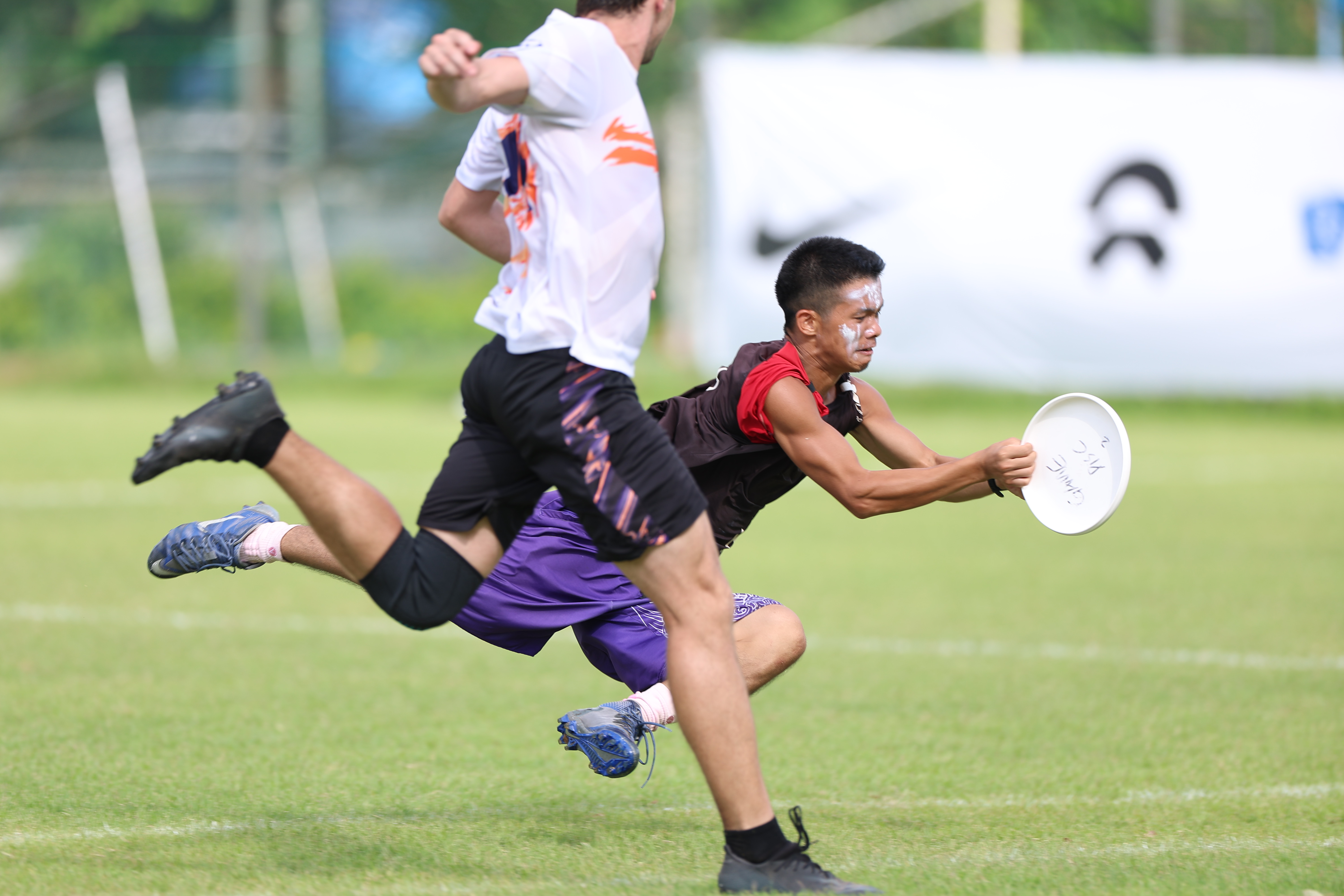 新型运动飞盘,飞盘出圈掀起新户外运动热