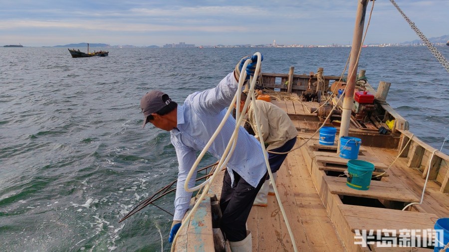 桂东出海记丨猛子将，海底捞！高风险，水上漂！好宝贝，浪里淘！揭秘胶州湾深潜捕捞者