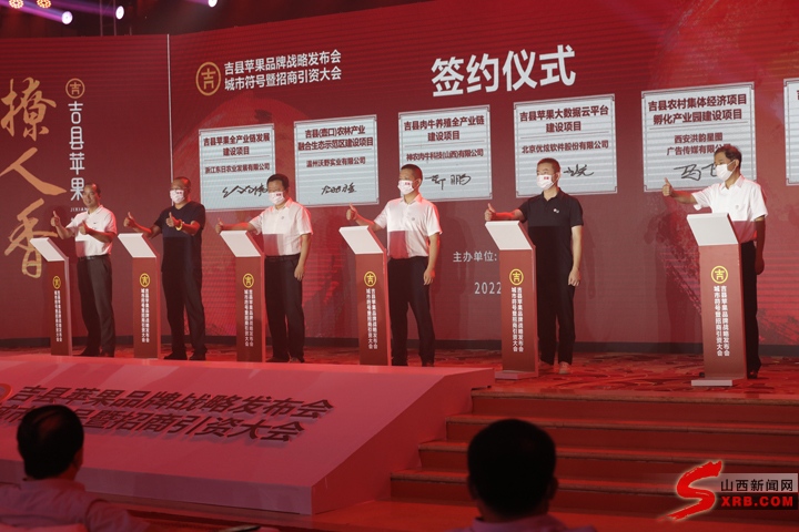 吉县苹果宣传报道,吉县苹果商标