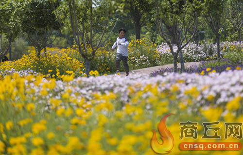 民生先行让老百姓获得更多幸福感,民生优先为群众幸福加码