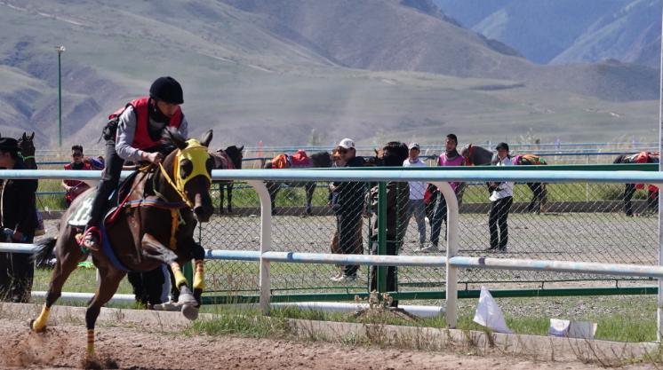 甘肃张掖肃南裕固族自治县赛马会开赛