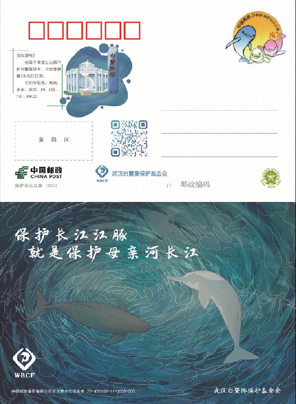 寄一只“江豚”给你，请查收