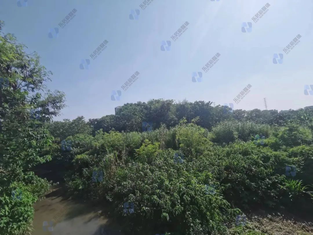 12-18地块,18地块