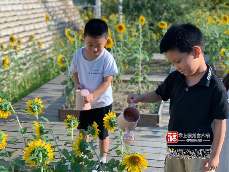 幼儿园楼顶花园设计40平米,幼儿园天台花园设计实景效果图