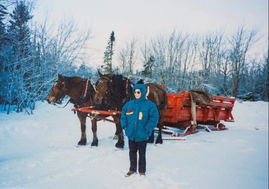 杨再平贵州,杨再平最新论坛