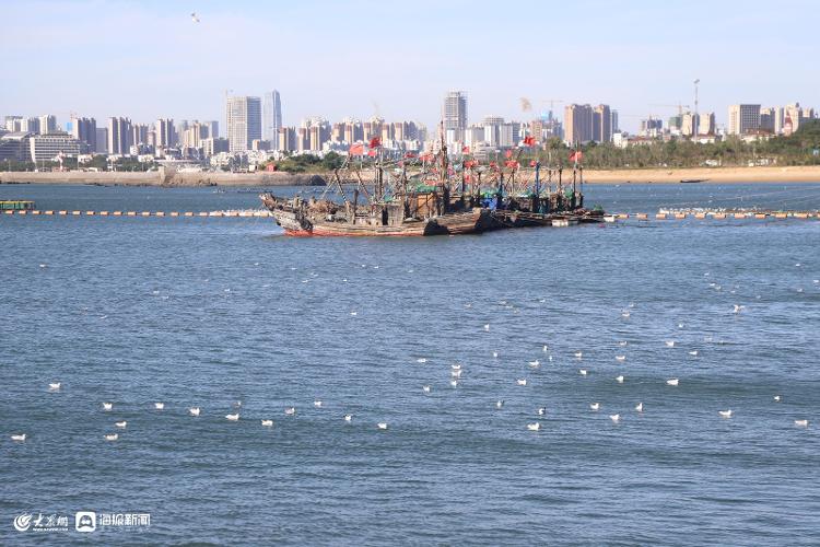 7月份日照海鲜大概价位,日照国庆海鲜价格