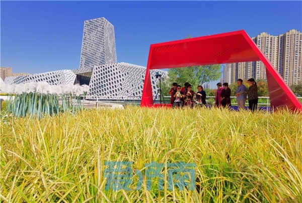 七彩花田4月游玩季,七彩花田开放时间表