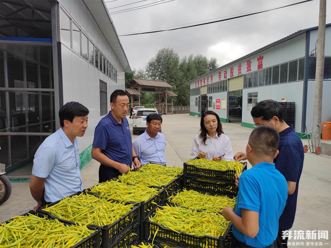 我们这十年经济的变化,甘肃平凉市泾川县乡村振兴战略