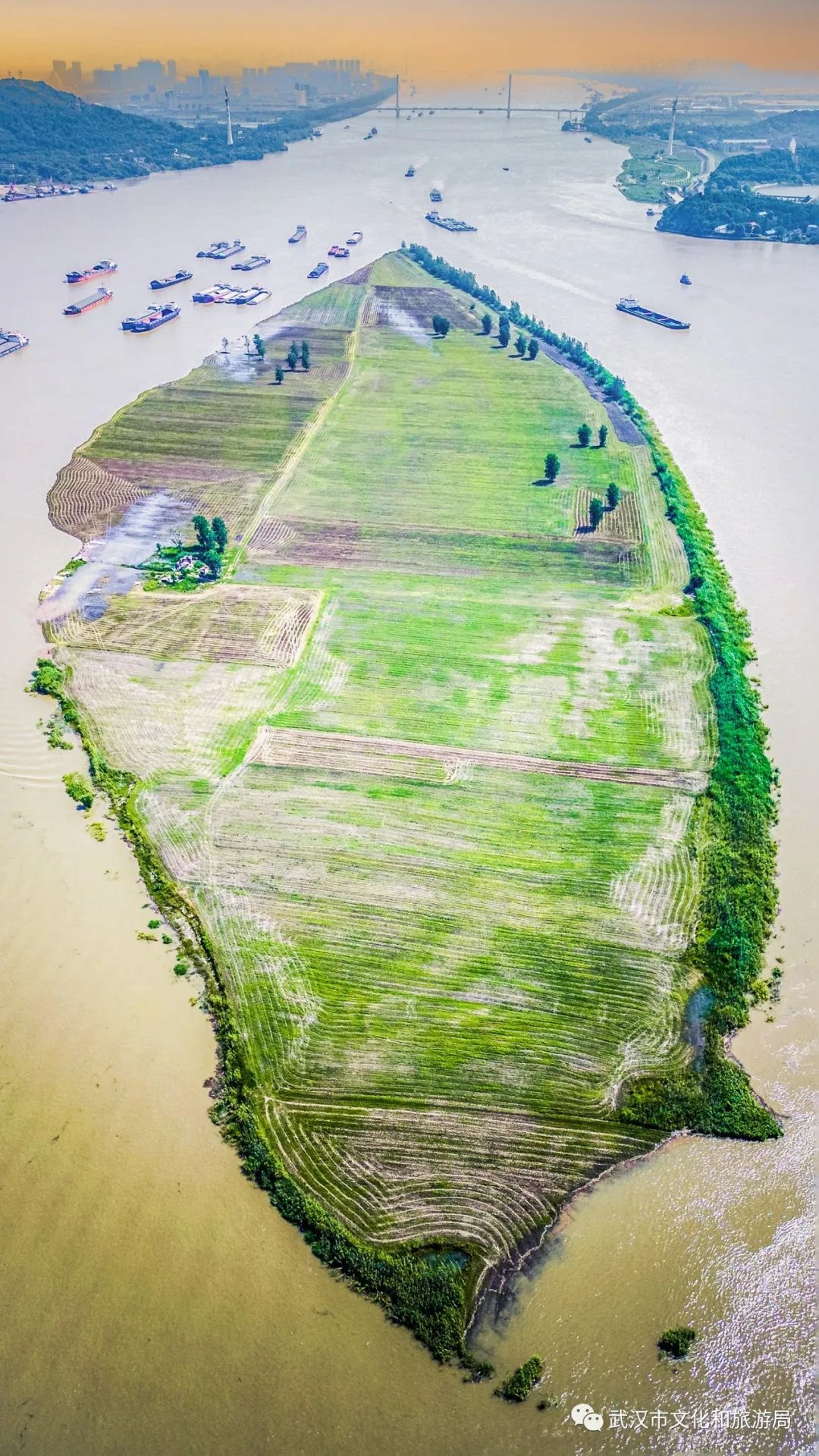 你凭什么叫“汉宝”？