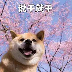 国庆广州天河好玩的地方推荐,广州天河打卡免费推荐