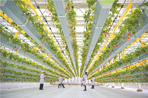 走进县城看发展仁寿,航拍东安发展前景