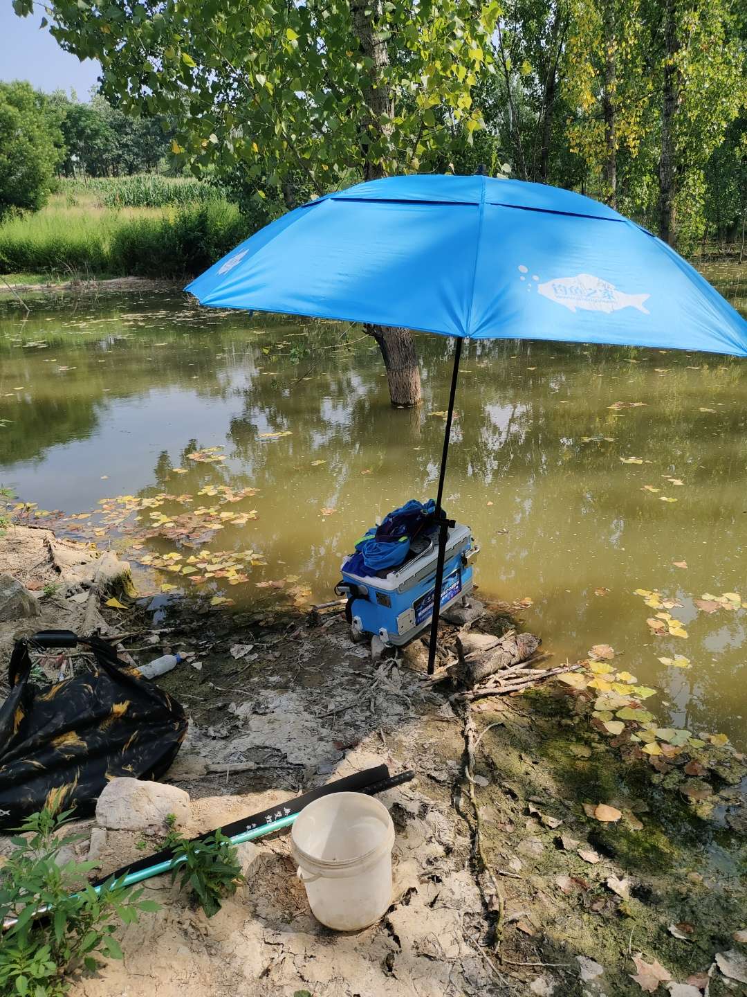 一根杆打天下,一竿打天下硬度