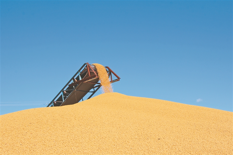 长水河农场视频,长水河农场现代农业
