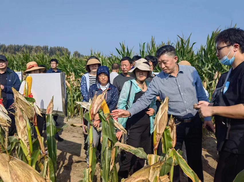 非凡十年砥砺前行,非凡十年农村