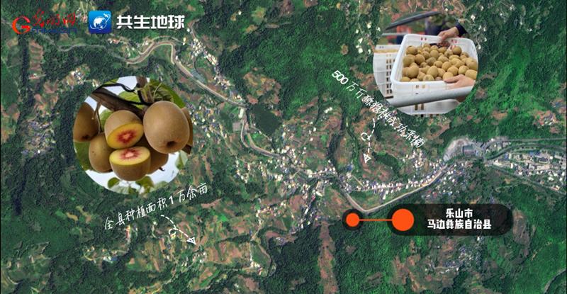 川蜀大地“丰”景正当时