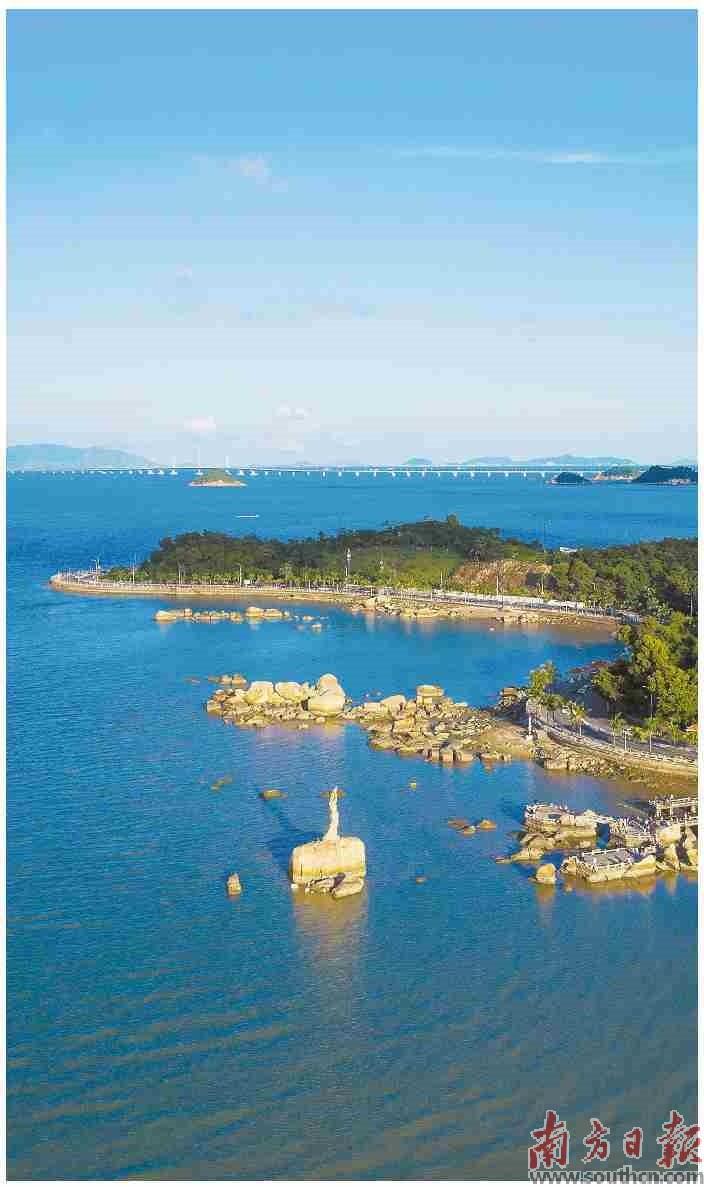 高质量发展型城市,高质量发展引领城市蝶变