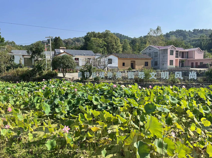 新县助推乡村振兴工作举措,河南尽锐出战筑牢乡村振兴根基