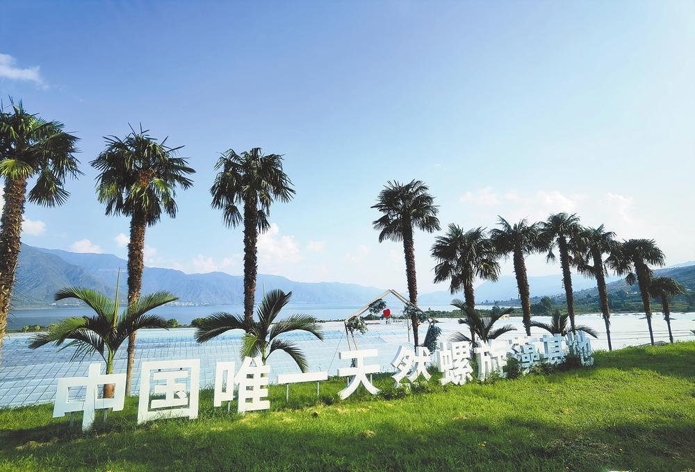 绿a生物科技,绿a生物工程有限公司