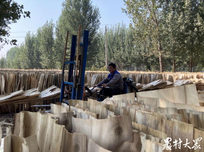 鲁西小村建起118家旋皮厂，农民务工平均时薪超过23元