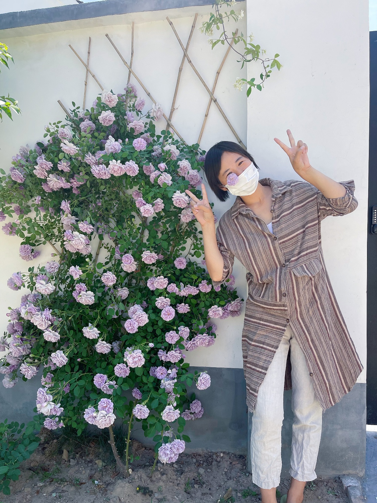 女子16年涨薪60倍回农村:小学没毕业,北漂期间学电脑,考会计证,成为产品经理,“踏实等风来”