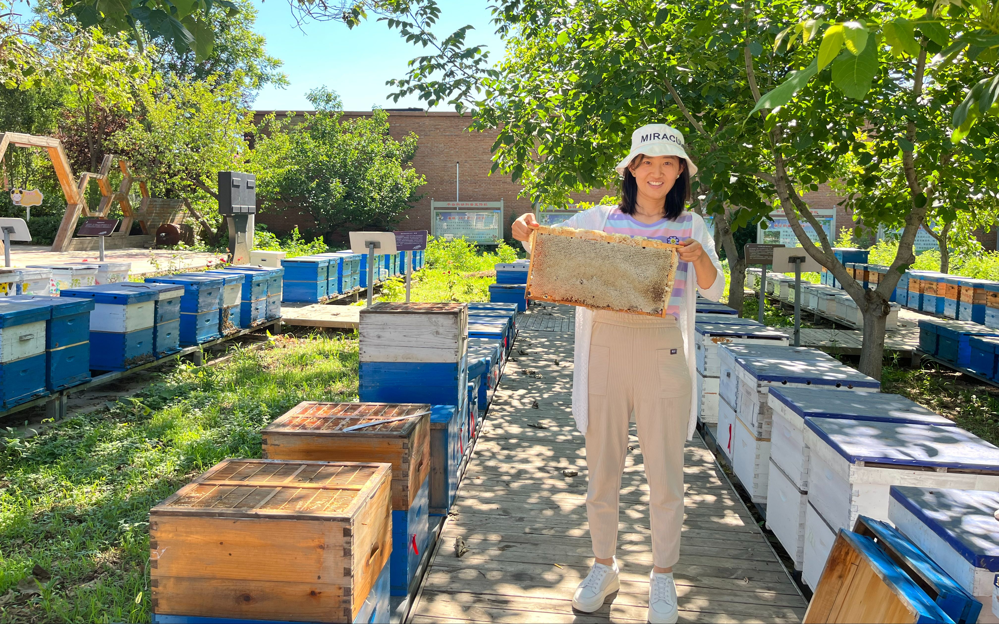 助力蜂农产业致富项目,三代养蜂人托起甜蜜致富梦