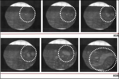 姊﹀ぉ鍏板窞,姊﹀ぉ椋炲ぉ鍥炴斁
