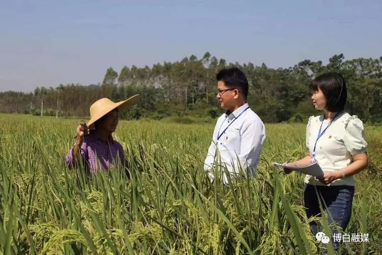 博白：“一卡通”直“通”民心