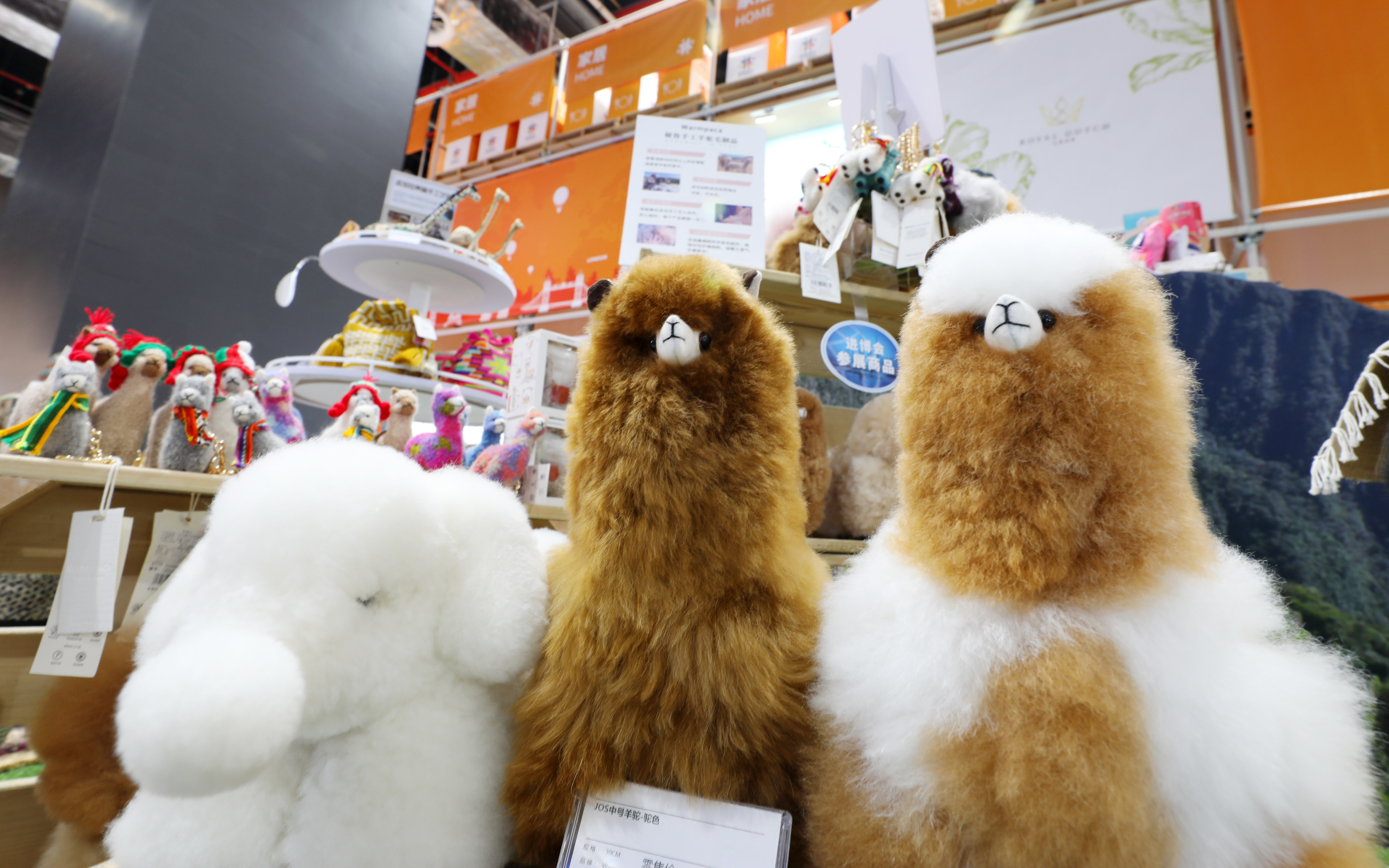 （新华全媒+）一只秘鲁“小羊驼”的进博之旅