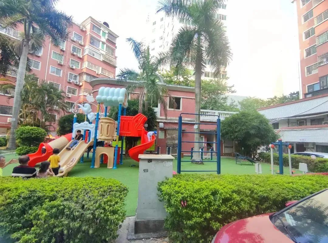 厦门运动景区,厦门周末好去处体育公园