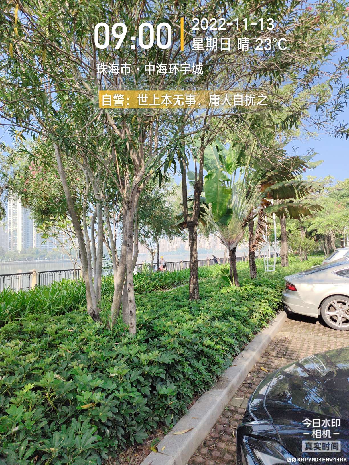 刷新了对钓鱼的认知,钓鱼的十个思维方法