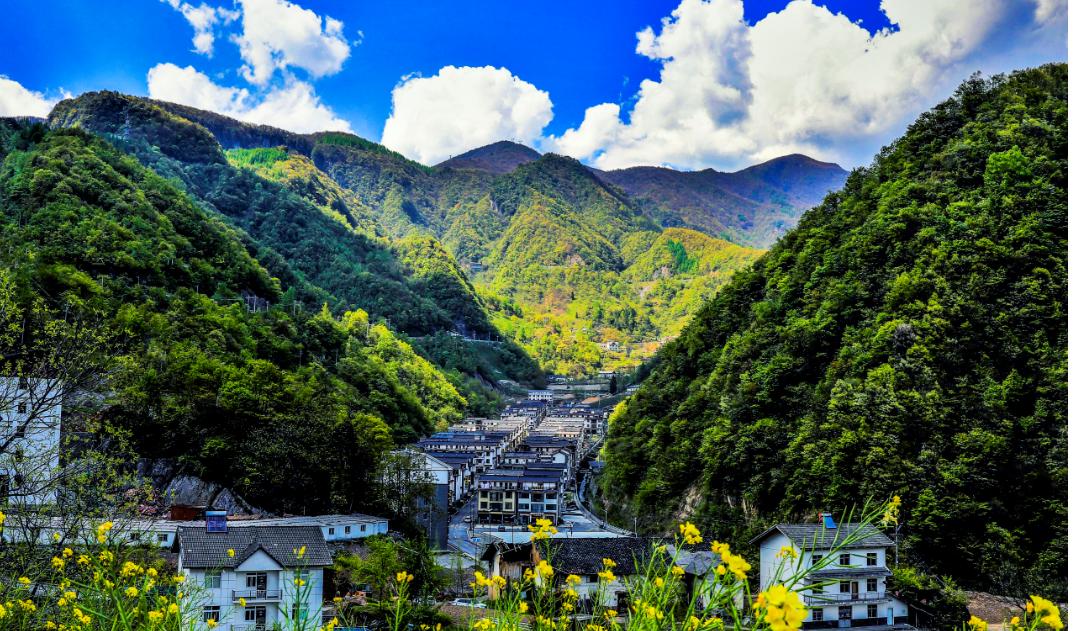 苦练内功提升服务能力,神农架旅游服务