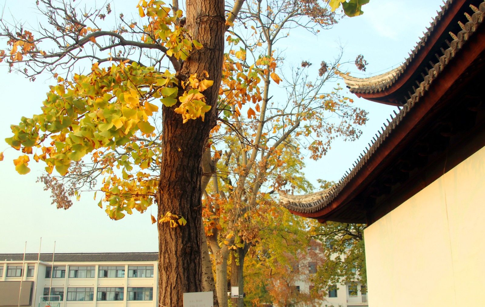 苏州美景图片大全大图,苏州水乡绝美的景色全景图