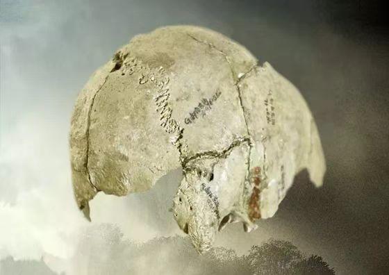 泾川县上热搜,泾川热搜