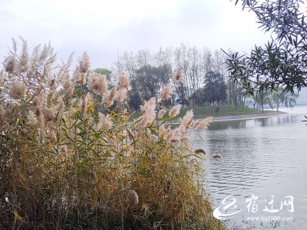 一眼心动光影写真,一眼心动的辽宁冬景