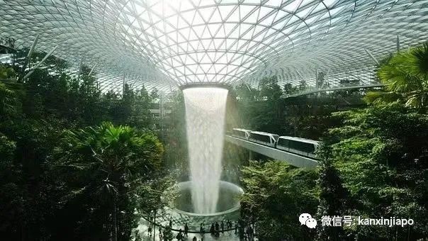 卡塔尔和新加坡哪个离中国最近,新加坡卡塔尔世界杯