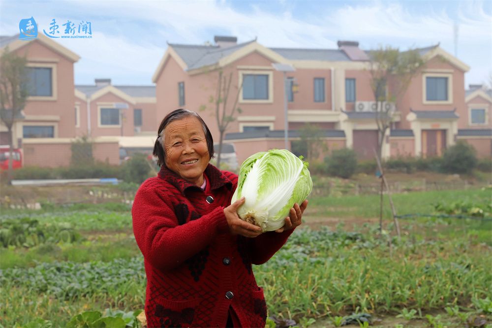 探索致富产业描绘乡村振兴新图景,以特色产业发展引领乡村全面振兴