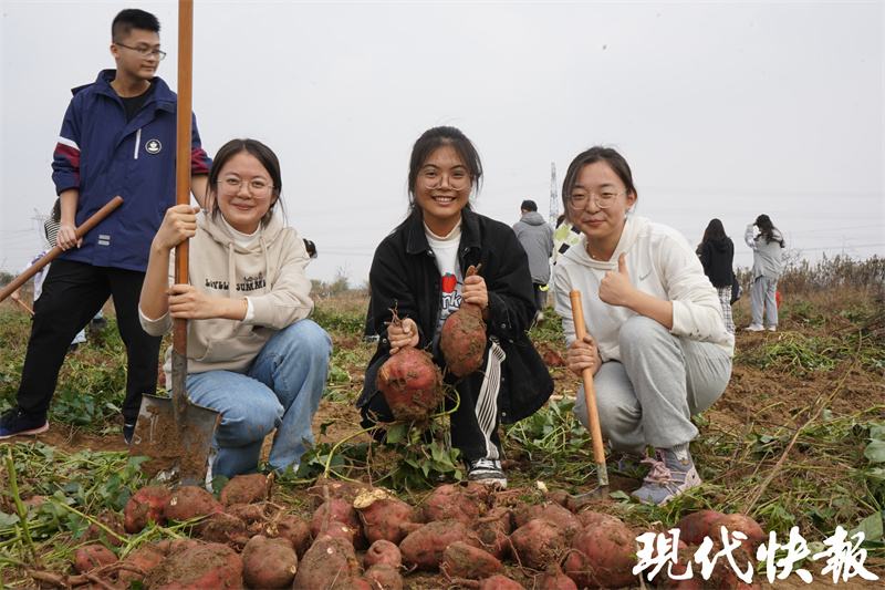 南农大作物耕作学,南农大参观