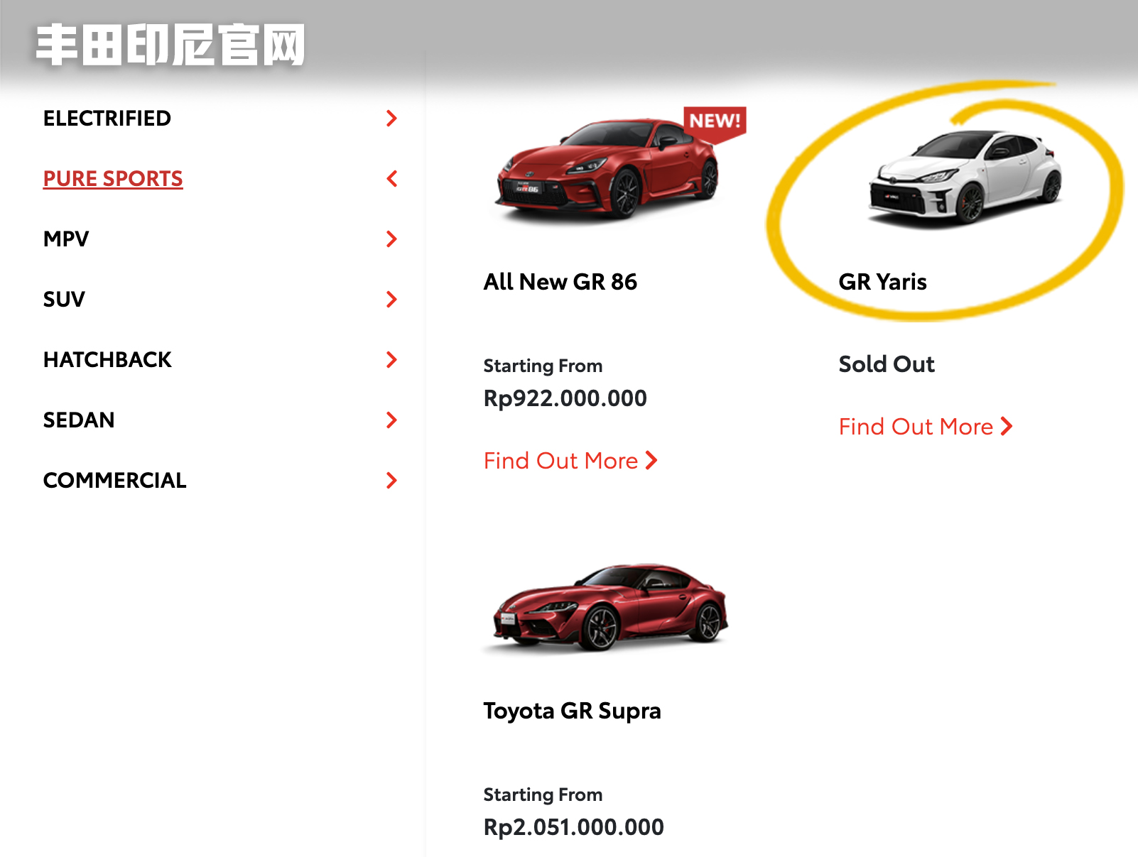 国内说它奇葩,国外却火到不行!这些东南亚特供车你会喜欢吗?