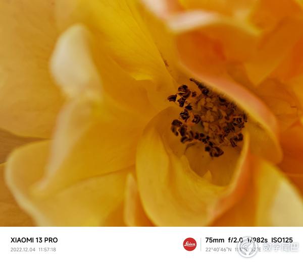 小米13从发布到现在的体验感受,小米13标准版上手体验