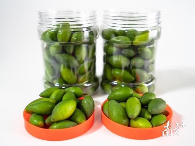 市面上好吃的橄榄有几个品种,橄榄的种类和区别