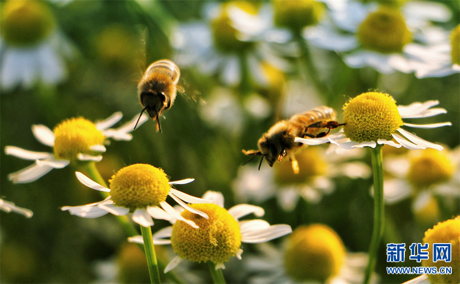 七一时评最暖人的话,年轻干部七一时评