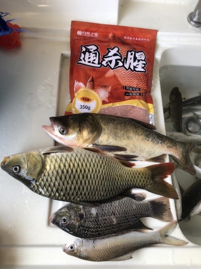 做个理性的人,初级钓鱼者怎么选择渔具