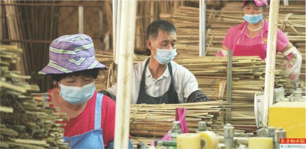 小竹笋长成大产业,如何进一步发展竹子产业