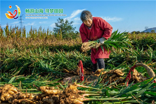 威海“姜”山如此多娇，引无数英雄竞折腰