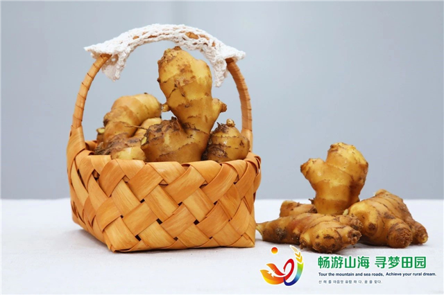 威海“姜”山如此多娇，引无数英雄竞折腰