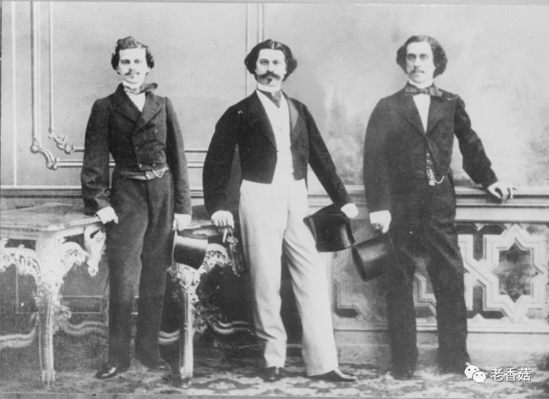 2022年维也纳新年音乐会所有曲目,2022维也纳新年音乐会演奏曲目