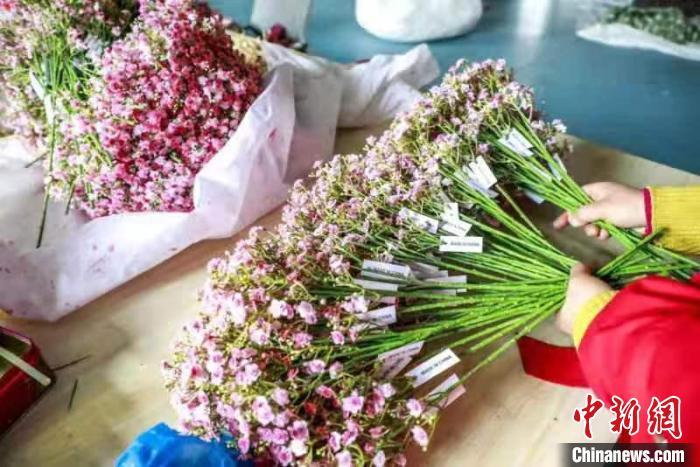 甘肃华亭“巧手女人坊”：仿真花“香飘”海外望来年“春暖花开”