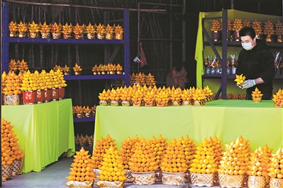 元旦节刊·花市|花如海人如潮，行过花街才过年