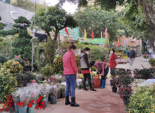 广州传统花市什么时候结束,广州传统迎春花市
