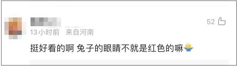 为什么兔年邮票蓝兔子惹争议,兔年邮票蓝兔子真身